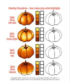 the steps to drawing pumpkins for halloween