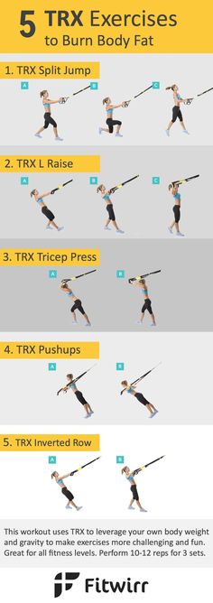 an info sheet shows how to do exercises for the entire body and chest, with instructions on