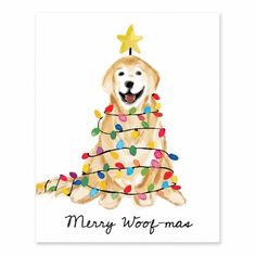 a golden retriever dog with christmas lights on its head and the words merry woof - mas