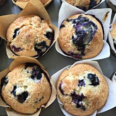 blueberry muffins sitting in paper cups on a baking tray, ready to be eaten