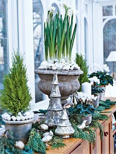 a table topped with potted plants next to a window covered in white flowers and greenery