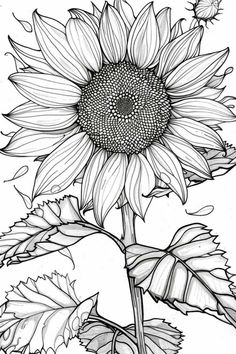 a drawing of a sunflower with leaves on the bottom and one flower in the middle