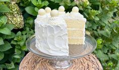 two pieces of cake sitting on top of a glass plate in front of some bushes