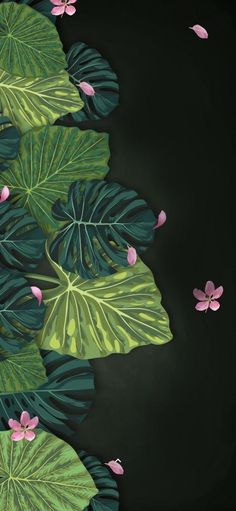 a painting of green leaves and pink flowers on a black background with water lilies