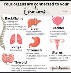 Gut Problems, Feminine Health, Health Heal, Emotional Body, Hormone Health, Health Knowledge, Holistic Medicine, Natural Health Remedies