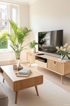 a living room filled with furniture and a flat screen tv on top of a wooden stand