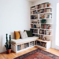 a living room filled with lots of bookshelves next to a large potted plant