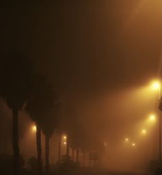 a foggy night with street lights and palm trees