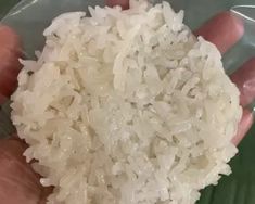 a person is holding rice in their hand