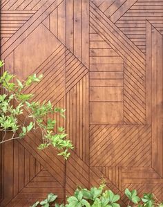 a wood paneled wall with plants growing on it's sides and leaves in the foreground