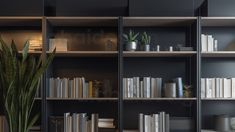 a bookshelf filled with lots of books next to a potted plant