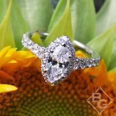 Gabriel Hazel Marquise Halo Diamond Pave Engagement Ring Stylish Engagement Rings, Gabriel Jewelry, Pave Engagement Ring, Jewelry Appraisal, Halo Diamond Engagement Ring, Marquise Cut, White Rose, Ring Box, Round Cut Diamond