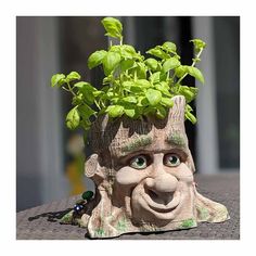 a potted planter with a face on it