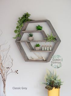 a wall mounted shelf with some plants on it