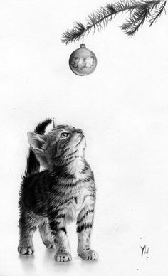 a pencil drawing of a kitten looking up at a christmas ornament hanging from a tree branch