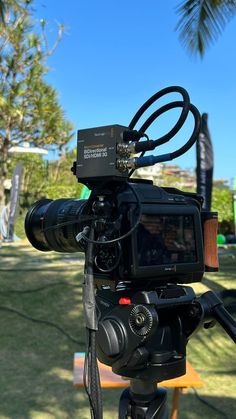 a video camera sitting on top of a tripod in front of a palm tree