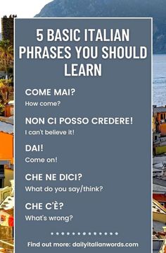 5 basic italian phrases you should learn Phrases In Italian, Basic Italian Phrases, Family Habits, Study Italian, Sicilian Culture, Italian Learning, Italy Tips, Slang Phrases