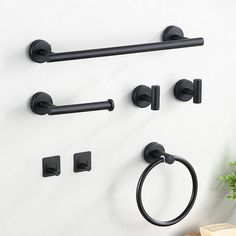 black bathroom hardware on white wall next to potted plant and toilet paper rollers