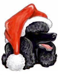 a black poodle with a santa hat on it's head is sitting down