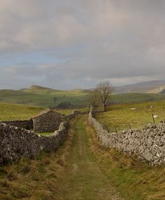 an old stone wall in the middle of a grassy field