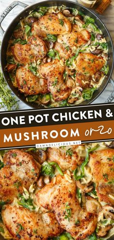 ONE POT CHICKEN AND MUSHROOM ORZO, comfort food recipes, simple dinner recipes Chicken And Mushroom Orzo, One Pot Chicken Orzo, Mushroom Orzo, Creamy Orzo, Orzo Recipe, Chicken Mushrooms, Chicken And Mushroom, Chicken Orzo