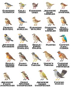 cross stitch chart with different types of birds on each side and the names of them