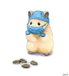 a drawing of a hamster wearing a face mask and some coins on the ground