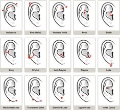 the different types of ear shapes and how to use them for each type of sound