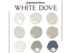 the color scheme for sherylin - williams's new paint collection is available in several