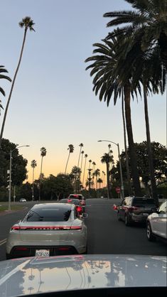 cars driving down the road with palm trees in the background