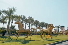 three statues of horses are in the grass near palm trees and a building with a clock on it