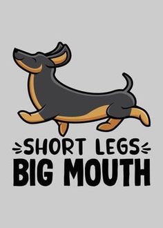 a black and brown dog with the words short legs, big mouth on it's back