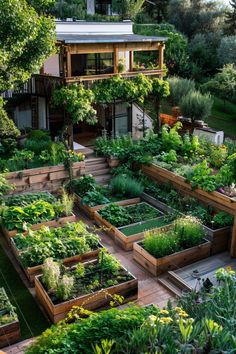 an aerial view of a garden with lots of plants