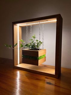 an indoor planter in a wooden frame with chains hanging from the sides and plants growing inside