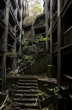 an abandoned building with stairs leading up to the second floor and trees growing out of it