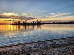 the sun is setting at the beach with palm trees in the background