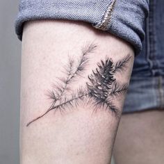 a woman's leg with a pine tree branch tattoo on her left calf sleeve