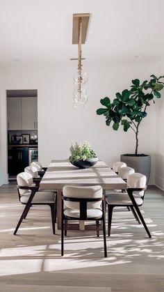 a dining room table with white chairs and a potted plant on top of it