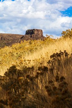 a horse standing on top of a dry grass covered hill under a cloudy blue sky