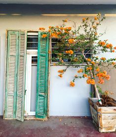 an old window with shutters open and flowers growing in the potted planter