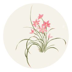 pink flowers with green stems in a white circle