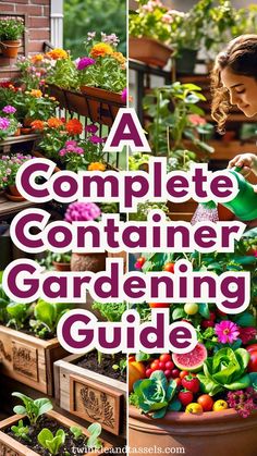 container gardening ideas Container Plants, Best Ideas