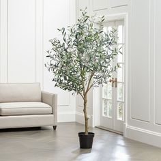 a black and white photo of a living room with a couch, chair and tree in the corner