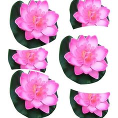 pink flowers are arranged on top of green leaves in the shape of a flower,