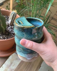 a hand holding a small potted cactus in it's left hand next to a succulent plant