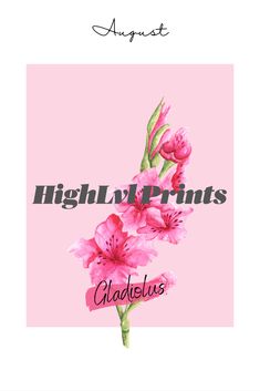 pink flowers on a pink background with the words, high level prints galailis