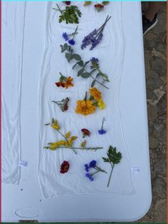 various flowers are arranged on a white tray