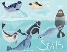 an image of sea animals on ice floes in the water with words march written below