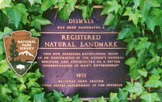 a plaque is surrounded by green leaves in front of a sign that reads, dismals has been designated a restricted natural landmark