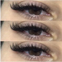 Kylie Lash Extensions Map, Volume Wispy Eyelash Extensions, Lashes Ideas, Natural Fake Eyelashes, Lash Maps, Lash Ideas, Lashes Fake Eyelashes, Perfect Eyelashes